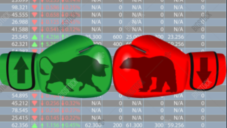 Boxing gloves featuring images of a bull and a bear.