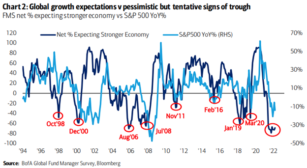 A chart showing that almost 80% of professional money managers have pessimistic growth expectations for next year.